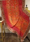 Vana Leela – Nature’s Tale Woven into a Pelia with Elegant Border Work
