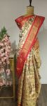 Tejshree: Multitone Ikat Elegance in Red Zari Frame