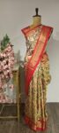 Rangzari: Handwoven Ikat Saree with Rich Crimson Gold Border