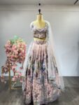 Organza Gulbahaar: Floral Thread Embroidered Blouse with Sheer Grace