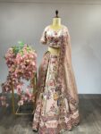 Jaal-E-Rang: Pastel Pink Bridal Lehenga with Intricate Threadwork & Artistic Cage Pattern