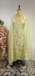 Pastel Green colour semi stitched suit