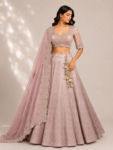 Banarasi tissue lehenga