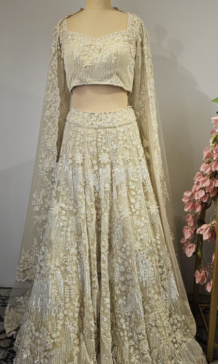 Beautiful Net lehenga