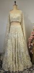 Beautiful Net lehenga