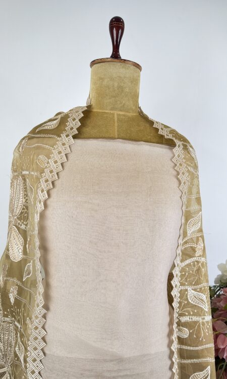 Beige colour unstitched suit