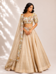 Beige colour crush tissue lehenga