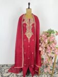 Red colour organza suit