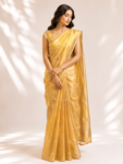 Gold tissue saree