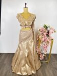 Gold banarsi tissue lehenga with top
