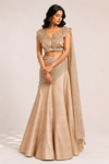 Gold banarsi tissue lehenga with top