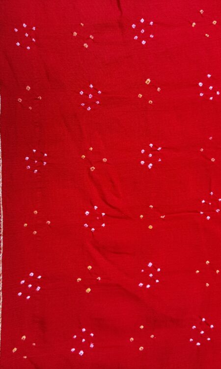 Red Bandhani Saree with Floral, Animal & Bird Motifs